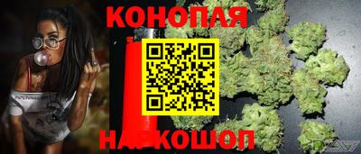 прущие крисы Ставрополь