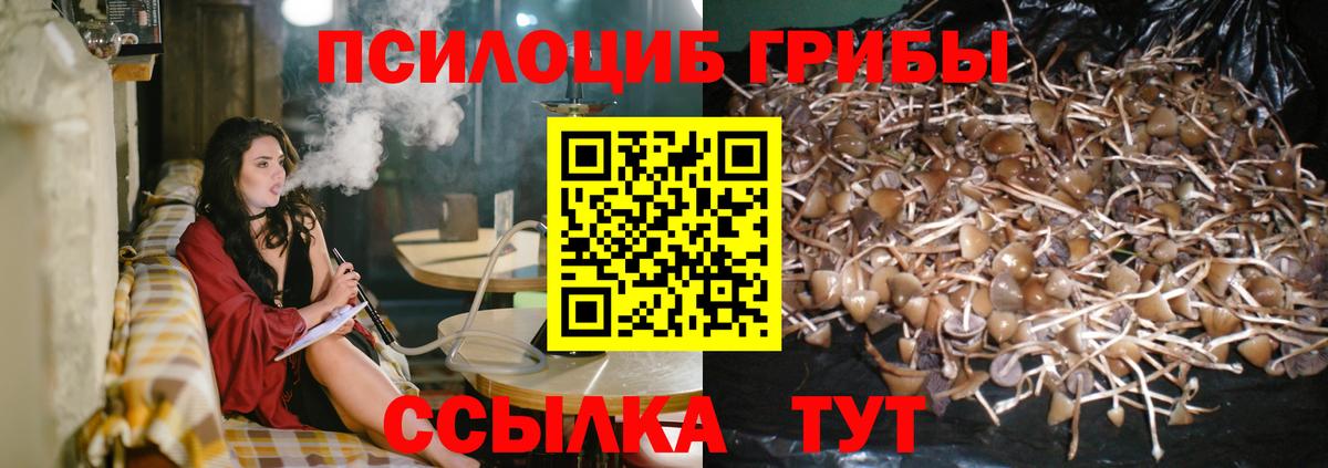 сколько стоит  Псилоцибиновые грибы MAGIC MUSHROOMS  Вход с VPN  Осинники 